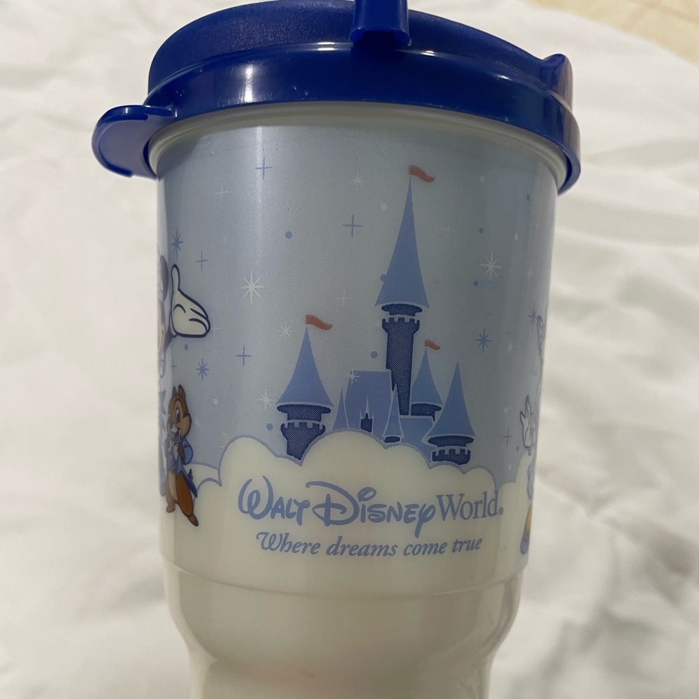 Set of 2 “Year of a Million Dreams “ Walt Disney World Resort Reusable Cups - Picture 3 of 6